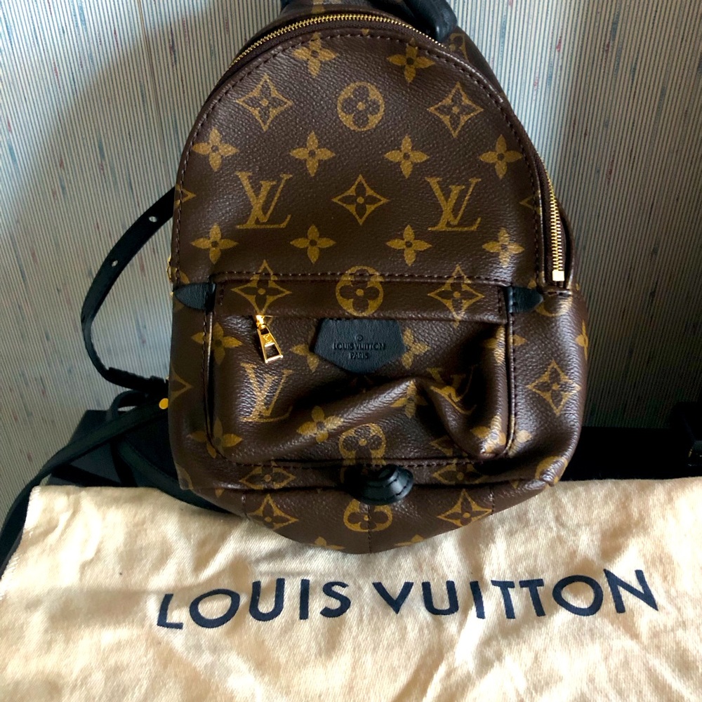 Louis Vuitton Palm Springs Mini Backpack